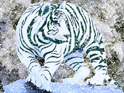 tigre en hiver